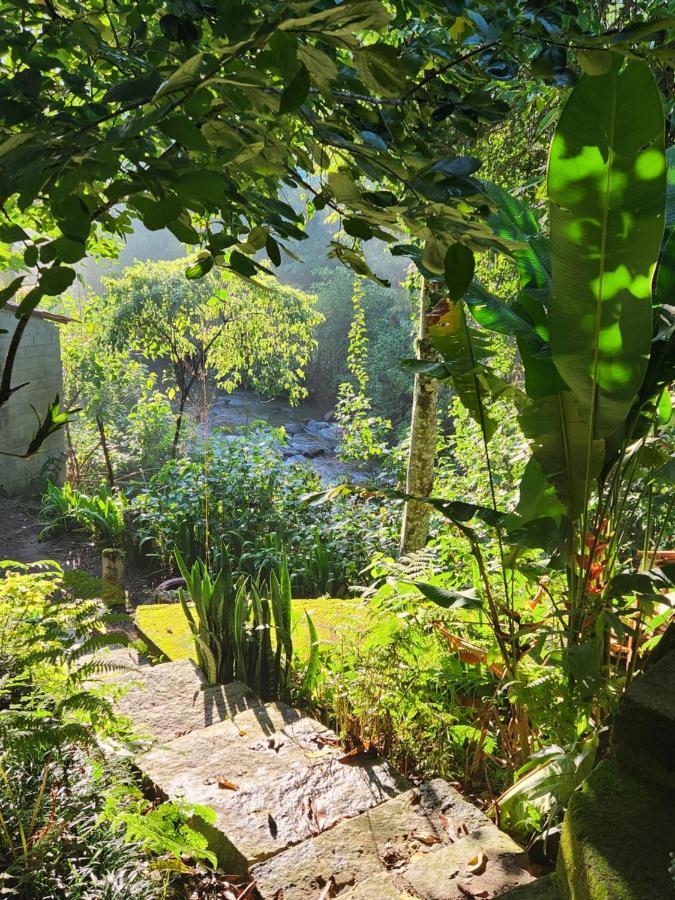 Hospedaria E Camping Quintal Do Mundo 루미아르 외부 사진